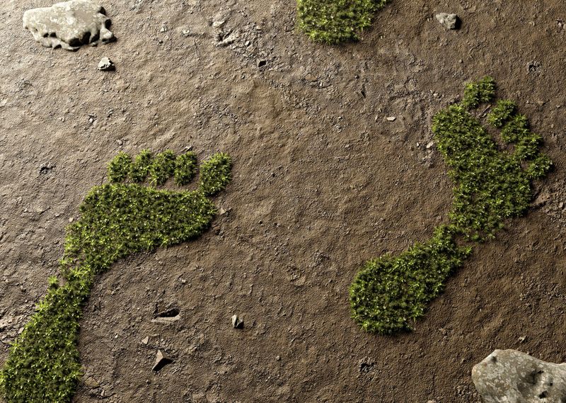 (Quelle:  lassedesignen/stock.adobe.com)