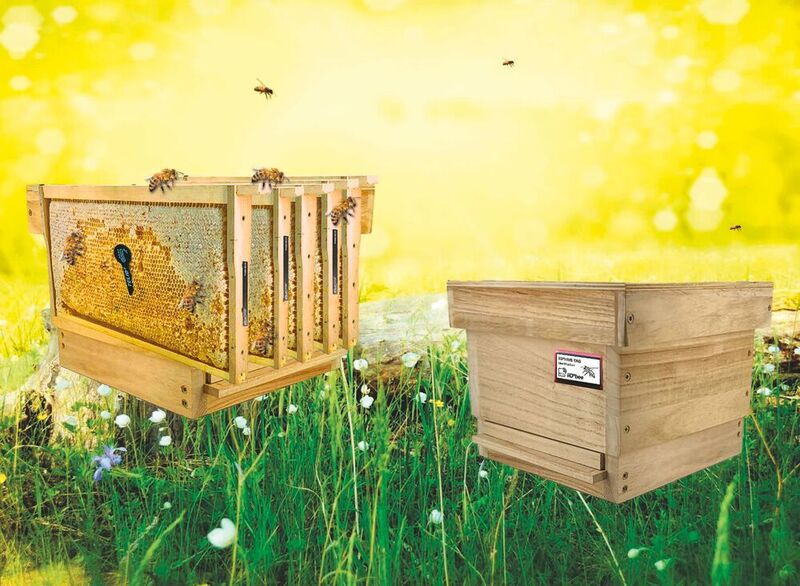 Das Projekt setzt Sensoren in Bienenstöcken ein für die bessere Analyse von Umweltchemikalien und anderen negativen Umwelteinflüssen.
 (Micro-Sensys GmbH)