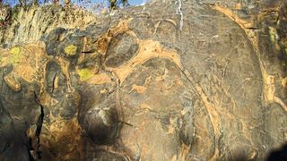 3,48 Milliarden Jahre alte Pillow Basalte. Pillows, also kissenförmige Strukturen, formen sich beim submarinem Vulkanismus, wenn heißes Magma unter Wasser eruptiert. Diese Strukturen können noch heute beobachtet werden, z. B. an Mittelozeanischen Rücken oder auf Vulkaninseln wie auf Hawaii, La Reunion oder Galapagos. (Elis Hoffmann)