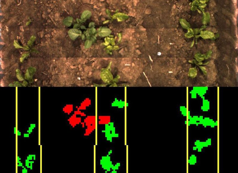 Roboter erschließen immer neue Anwendungsfelder. (Bild: VDMA)