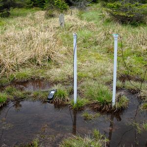 Abb. 1a: Probennahmestelle mit vier Piezometerrohren ...