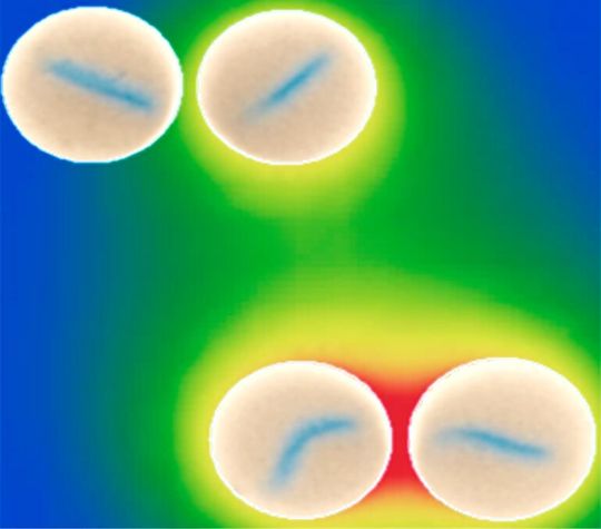 Mehrere Tropfen mit Nanopartikeln, die kommunizieren und ihre Strömungsmuster koordinieren. Mehrere Tropfen mit Nanopartikeln, die kommunizieren und ihre Strömungsmuster koordinieren.