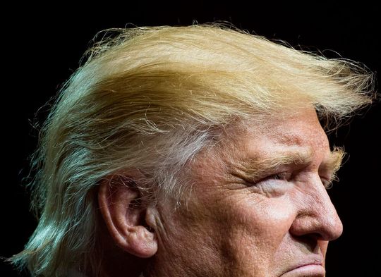 Donald Trump hält sich zwar für sehr mutig, weil er die massiven Zölle eingeführt hat. Doch ruderte er jetzt wegen der Panik im Aktiengeschehen ein Stück zurück. Schuld seien aber die „anderen“.(Bild:  Knettelstein)