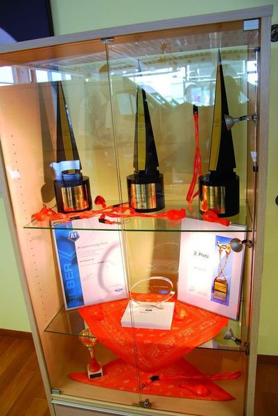 Die Chairman Awards von Ford belegen, dass das Autohaus Stauner viele zufriedene Kunden hat. (Archiv: Vogel Business Media)
