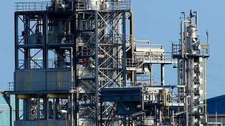  (Picture: Frauke Feind (CC0))