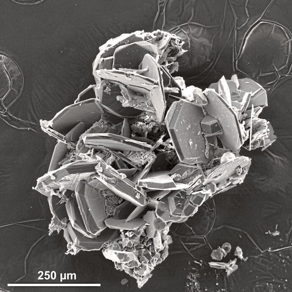 Auch Graphit entsteht in den Versuchen der Forscher nur unter Spannung, aber bei niedrigerem Druck. (Bild: Yuliya Bataleva, SB Russ. Akad. d. Wissenschaften)