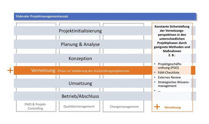 Föderaler Projektmanagementansatz mit Vernetzungsstrukturen (Mohser)