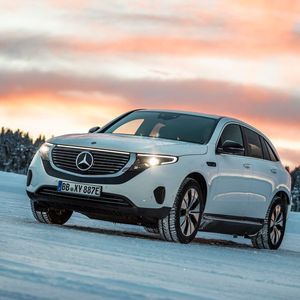 (Copyright:TSCHOVIKOV)