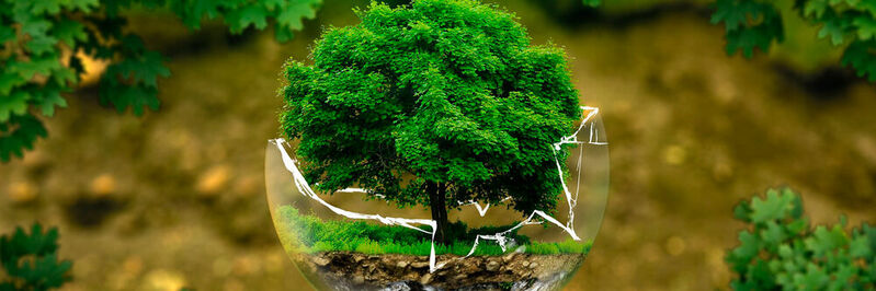 Jährlich erinnert uns der Earth Day am 22. April daran, wie wichtig die natürliche Umwelt für alle Lebewesen und insbesondere für uns Menschen ist. Das Motto des Tages der Erde lautet dieses Jahr: „Wohne lieber grüner – Leben im Einklang mit der Natur“.