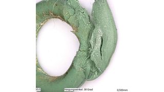 Durch die Montage abgescherter Teil eines O-Rings. (O-Ring-Prüflabor Richter)