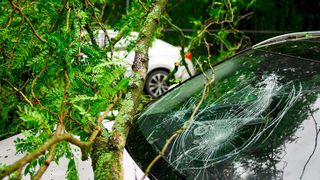 0112674218 (Bild: GDV)