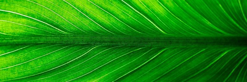 IDC: Deutsche Rechenzentrumsbetreiber wollen dringend Energie und Kohlendioxid sparen sparen und verlagern immer mehr nach außen. IDC: Deutsche Rechenzentrumsbetreiber wollen dringend Energie und Kohlendioxid sparen sparen und verlagern immer mehr nach außen.