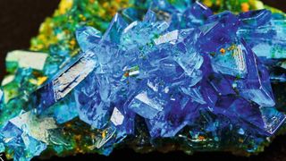  (©Nneirda - stock.adobe.com)