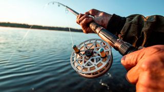 Attivo wirft die Angel aus und hofft mit dem BOTsink 7500 als Köder Angreifer aus dem Netzwerk zu fischen.  (Aliaksandr Marko - stock.adobe.com)