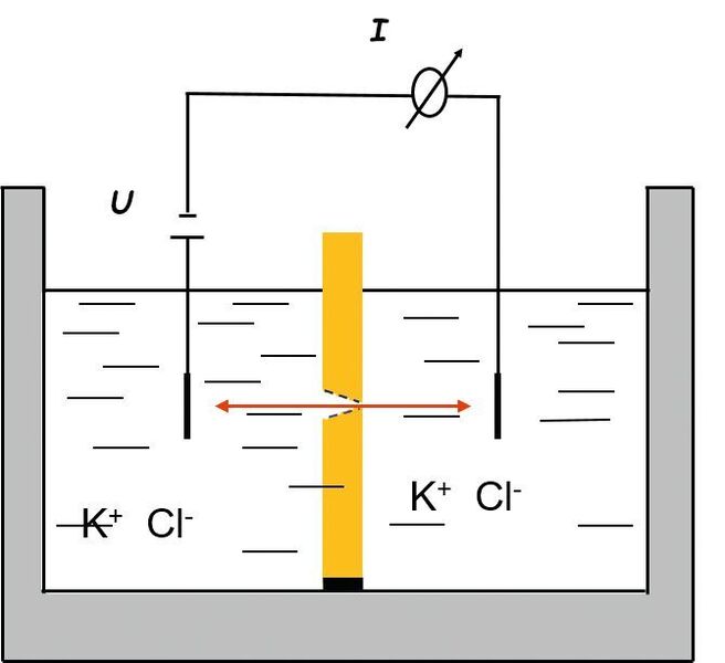 Abb. 2: Schemazeichnung der elektrochemischen 2-Kammer-Messzelle mit zwei Elektroden mit der Nanoporen-Polymerfolie in der Mitte (TU Darmstadt)