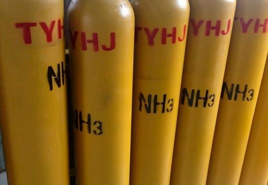 Gut versorgt! H2gen plant in Mexiko den Bau einer Anlage zur Herstellung von erneuerbarem Ammoniak. Jetzt haben alle relevanten Partner das Vorhaben namens Marengo unterzeichnet. Lesen Sie hier, was sich dahinter genauer verbirgt.(Bild:  J. Röhrl)