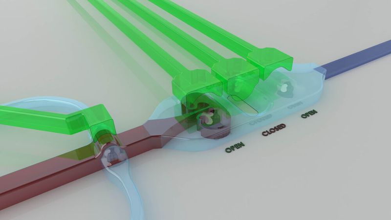 The microfluidic chip features a unique system of tiny channels and pumps for rapidly manipulating fluids.  (RMIT University)