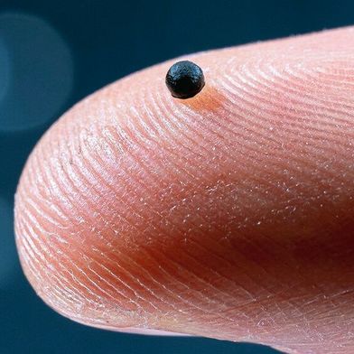 Microrobot for the bloodstream: only one millimeter (0.04 inches) in size (Image:Luca Donati / ETH Zurich)