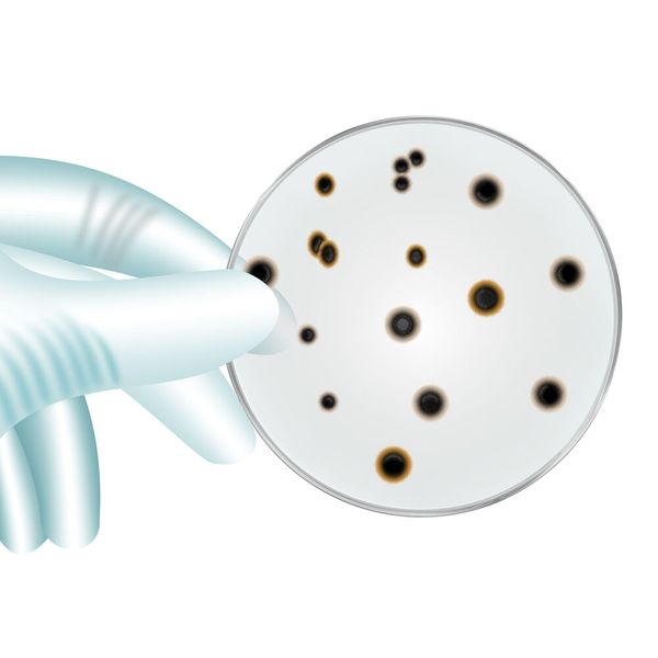 Die schnelle Diagnose ist ein entscheidender Faktor im Kampf gegen Krankheiten wie die Tuberkulose (Symbolbild). (Bild: ©Gabriele Rohde - stock.adobe.com)