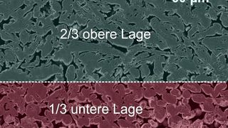 Schneller zur Elektrode! Und zwar mit dem sogenannten Simultankonzept. Die Schichten werden dabei gleichzeitig appliziert, heißt es. Hier eine Raserelektronenmikroskop-Aufnahme mit einem Querschnitt durch eine mehrlagige Elektrode, die so hergestellt wurde.  (J. Schmatz und J. Kumberg)
