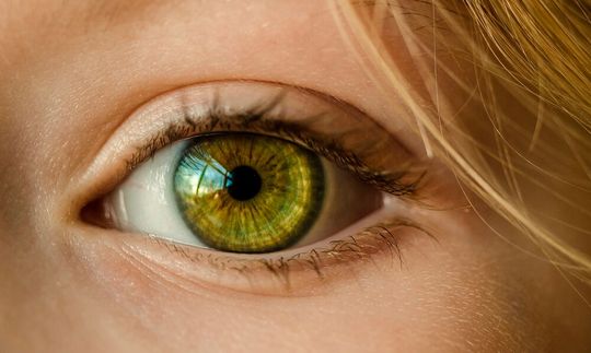 Die neue Partnerschaft von Zeiss und Boehringer Ingelheim wird sich auf die Identifizierung von Markern für frühe Stadien von Netzhauterkrankungen konzentrieren. Die neue Partnerschaft von Zeiss und Boehringer Ingelheim wird sich auf die Identifizierung von Markern für frühe Stadien von Netzhauterkrankungen konzentrieren.