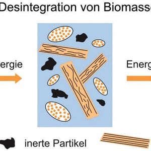 Abb. 2: Desintegration der Biomasse nach Ultraschallbehandlung 