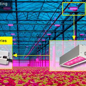 Die 650-W-Konstantstrom-LED-Treiber der Serie HVGC-650 mit Weitbereichseingang: eignen sich für Eingangsspannungen zwischen 180 und 528 VAC und erreichen einen Wirkungsgrad von bis zu 95,5%. (Bild:  GW Instek)