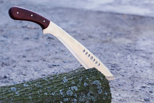 (Bild: © deviddo - stock.adobe.com)