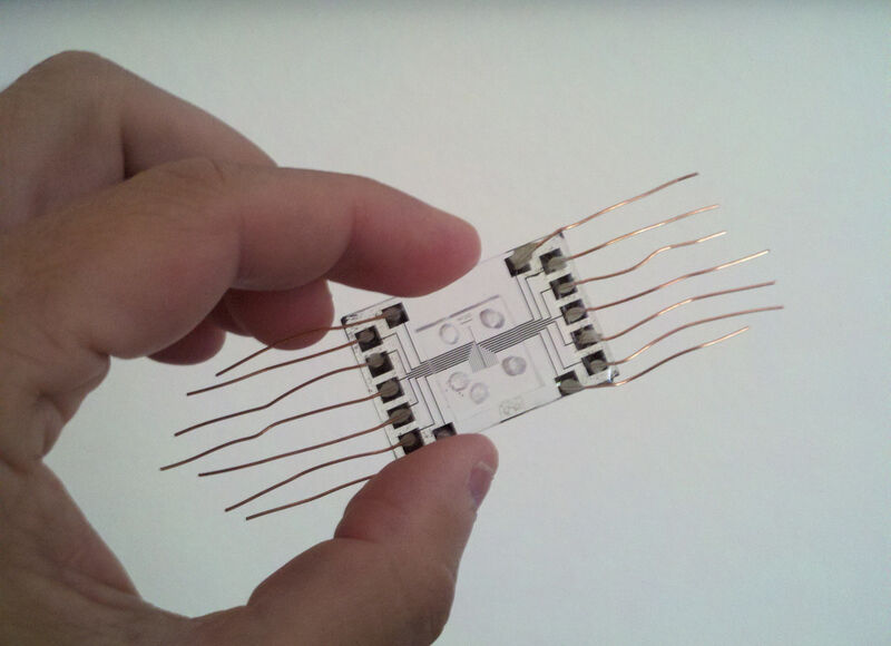 Bislang nur ein Prototyp, aber vielleicht bald im großen Einsatz: Ein Chip, der mittels hauchdünner Kanäle und Elektroden Meerwasser entsalzen soll. (University of Texas at Austin)