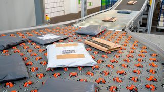 Polybags auf einer Cellumation-Förderstrecke: Auch solche Tüten können damit auf kleinem Raum im großen Stil gefördert werden. (Bild: Cellumation)