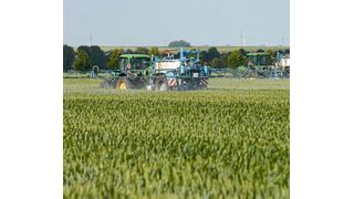 Experten fordern eine neues Zulassungsverfahren für Pestizide. (André Künzelmann / UFZ)