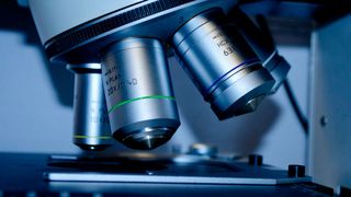 Canonical stellt mit „HA MicroK8s“ zuverlässige und kleine Kubernetes-Varianten vor. (PublicDomainPictures auf Pixabay)