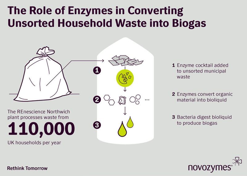  (Novozymes)