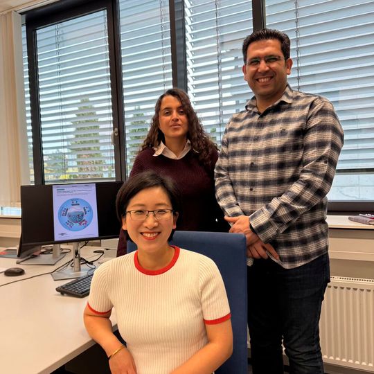 Dr. Dandan Gao mit den beiden Hauptautorinnen des aktuellen Überblickartikels, Dr. Bahareh Feizi Mohazzab und Kiarash Torabi von der JGU (v.l.)(Bild:  Shikang Han)