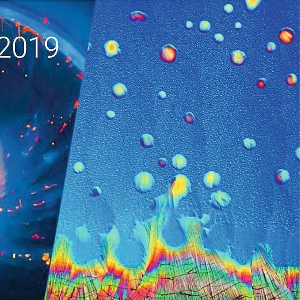 Für lichtmikroskopische Life-Science-Aufnahmen, die zum europaweit ausgeschriebenen Preis „Image of the Year 2018“ eingereicht wurden, schreibt Olympus den globalen Award „Image of the Year Award 2019“ aus. (Bildausschnitt) (Olympus)