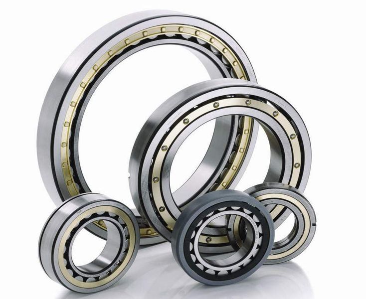 Fahrmotoren- und Getriebelager: Für höchste Belastungen und extreme Umdrehungsgeschwindigkeiten. (Schaeffler)