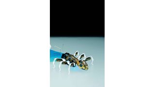 Die künstlichen Ameisen zeigen wie selbstorganisierende Einzelkomponenten miteinander kommunizieren und als vernetztes Gesamtsystem eine komplexe Aufgabe lösen. (Bild: Festo)