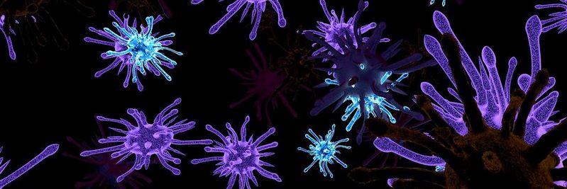 Dank der immer besseren technischen Entwicklung im Bereich Deep-Learning und KI-Strukturierung wird es nicht mehr lange dauern, bis die meisten Antivirenprogramme dank dieser Technologien Ihre Konkurrenz weit hinter sich lassen.(Bild:   / CC0)