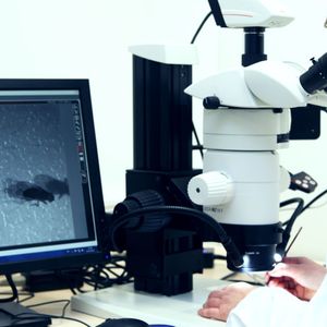 (Bild: Christian Urban, Universität Kiel)