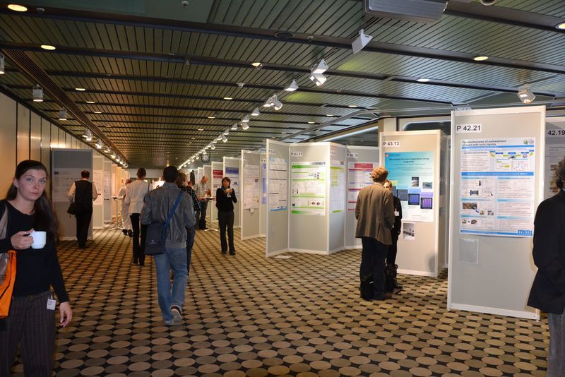 Participants at the poster exhibition.  ((Picture: PROCESS))