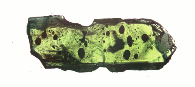 Mikroskopische Aufnahme eines Klinopyroxen-Kristalls. Dieses Mineral bildete sich in einer Magmakammer. Schmelzeinschlüsse (in schwarz) sind in diesen Kristallen vorhanden.(Bild:  Corin Jorgenson, University of Strathclyde)