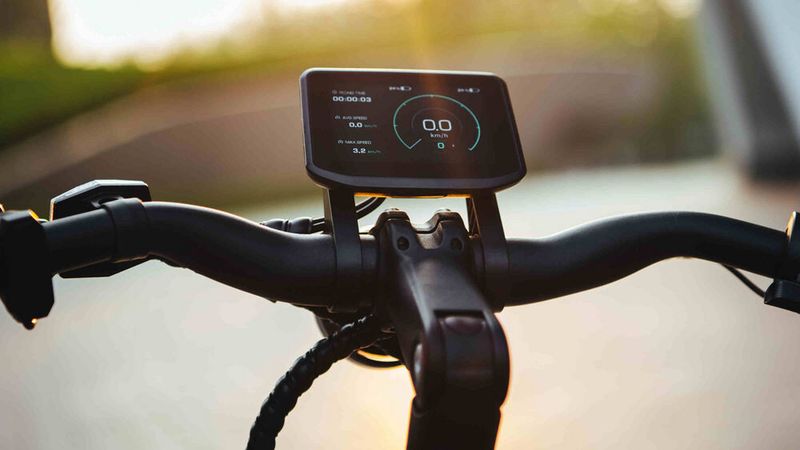 Imposant ist das große Farbdisplay in der Lenkermitte. (Bild: Niu)