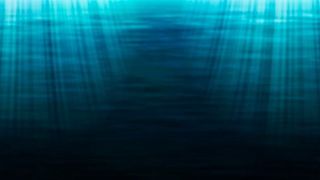 Schätzungsweise 95 Prozent der Tiefsee sind nahezu unerforscht. Deshalb haben Shell und die Xprize Foundation zu dem Wettbewerb aufgerufen, einen autonomen Tiefseeroboter zu konstruieren, der unzugängliche Gebiete vermessen kann. (gemeinfrei)