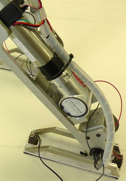 Aufgrund ihrer hohen Leistungsfähigkeit kommen im Amber-Roboter bürstenlose Motoren von Maxon Motor zum Einsatz. Die elektronisch kommutierten Motoren haben eine besonders lange Lebensdauer, da sie ohne mechanische Bürsten auskommen. In jeden Motor sind Hall-Sensoren eingebaut, die Rückmeldungen an die Steuerelektronik geben. (Texas A&M University)