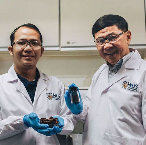 Kustomo (left) and Prof Sam Li (right) from the Department of Chemistry holding pomegranate peels (left) and the resulting nanobiochar material (right) developed for water purification research.(Source:  NUS)
