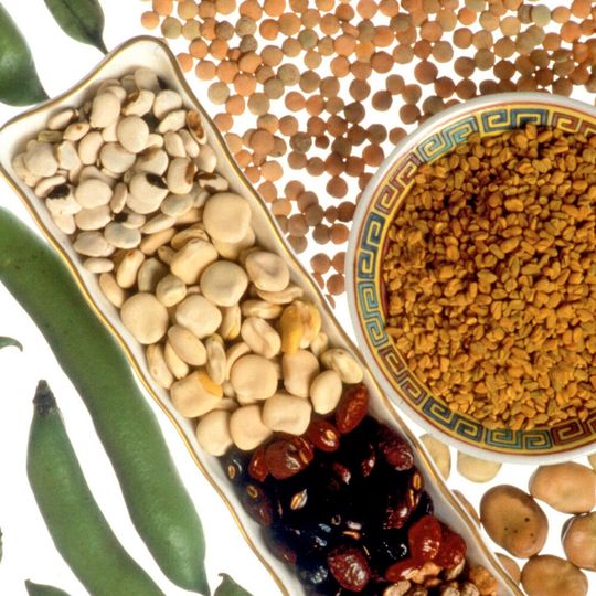 Healthy adults eating a diverse diet with at least eight to ten grams of soluble fiber a day have fewer antibiotic-resistant microbes in their guts. Soluble fiber is found in foods such as grains, beans, lentils, nuts, and some fruits and vegetables. Healthy adults eating a diverse diet with at least eight to ten grams of soluble fiber a day have fewer antibiotic-resistant microbes in their guts. Soluble fiber is found in foods such as grains, beans, lentils, nuts, and some fruits and vegetables.