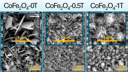These are scanning electron microscope images of thin films of cobalt-iron oxide. The layers are used to synthesize ammonia. The special feature is that two magnetic fields were previously exposed (0.5 and one Tesla), which significantly increases the roughness and therefore the efficiency ...(Image: S. Mathur / University of Cologne)