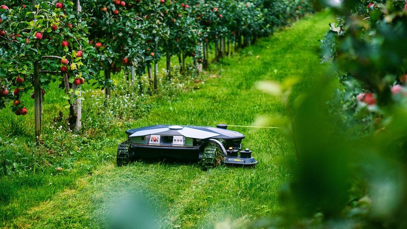 Scarabaeus, der innovative Mulchroboter zur Pflege von Obstplantagen und Grünflächen, eine marktreife Konstruktion von Brüggli Industrie aus der Schweiz.(Bild:  Brüggli Industrie)