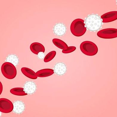 A new study led by WashU Medicine researchers shows that, for blood cancer patients, a genetically engineered stem cell transplant helps prevent toxic side effects and potentially improves the effectiveness of therapies.
 (Source: Sara Moser/ Washu Medicine)