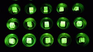 Holzproben, die mit dem Hallimasch-Pilz Desarmillaria tabescens behandelt wurden, leuchten grün in der Dunkelheit.  (Bild: Empa)